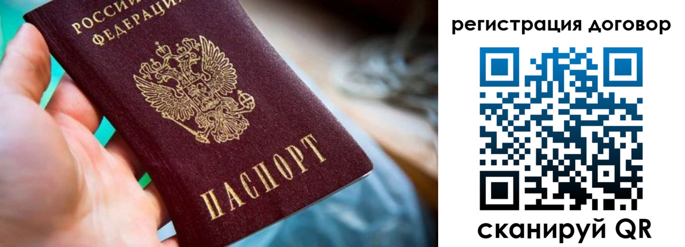 прописка гарантия в Сертолово